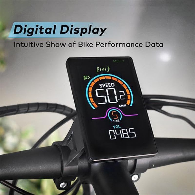 Ebike Display, UART No. 2 Protocol, Colorful 2LCD Display 24V, 36V, 48V, 60V for