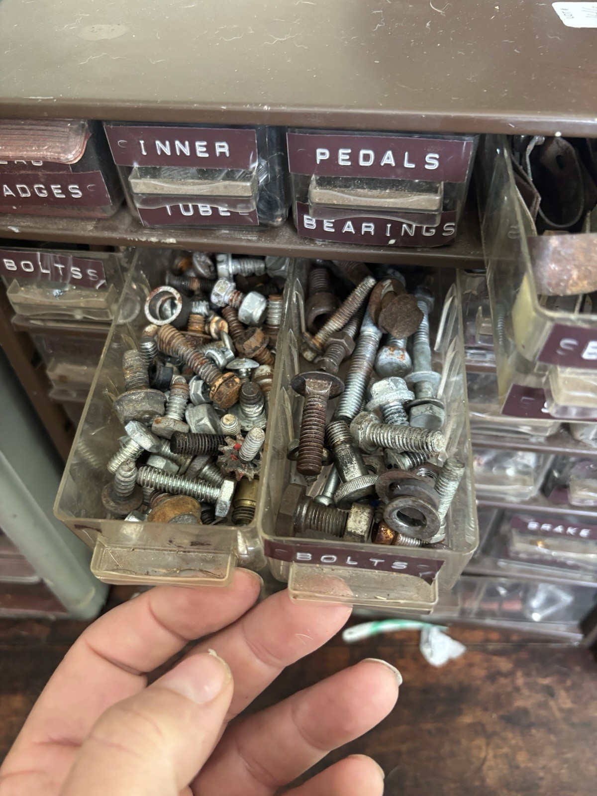 Vintage Bike Tinkerers Nut And Bolt Lot-Some Schwinn-Organizers Not Included