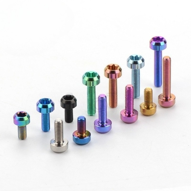 Titanium Bolt M6x10 15 20 25 30 35 40 50 60 65 70 80mm Torx Head Ti Screw 4pcs