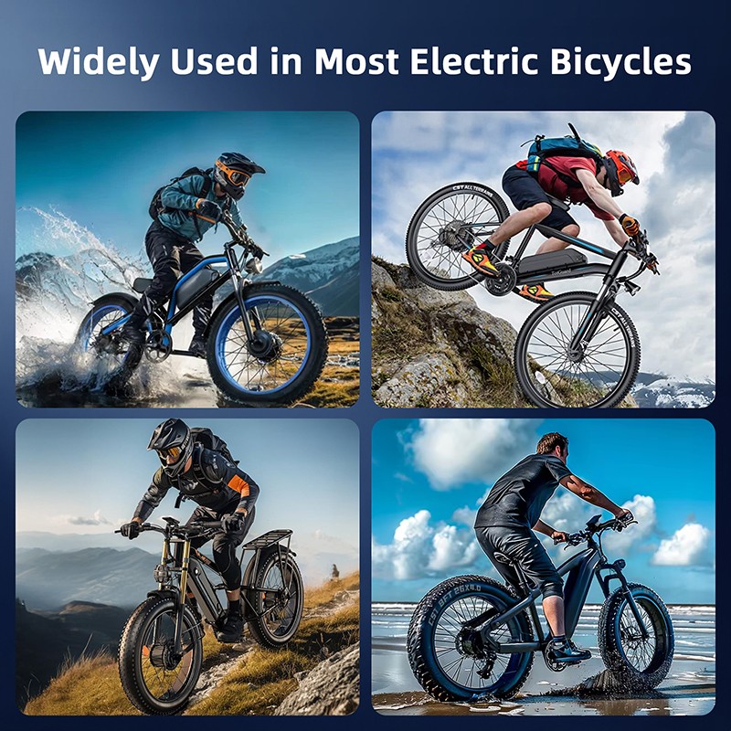 48V Hailong Lithium E bike Battery 48V 25Ah Electric Battery For 200-1400W Bike