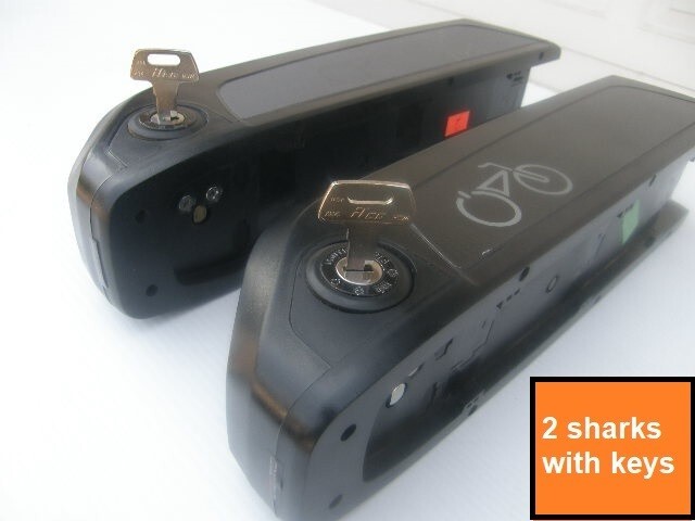 🔑 RAD Power Bikes Universal Battery Key-Lot of 3 keys @ $5.33/ key w/shipping🔑