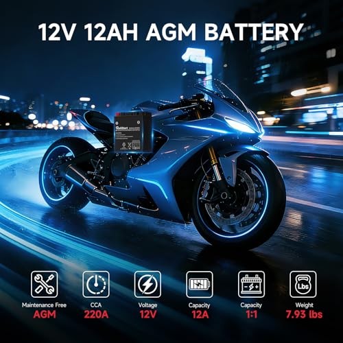Motorcycle Battery YTX14AH-BS, EB14A-4, 12V 12Ah, 220 CCA, Powersport