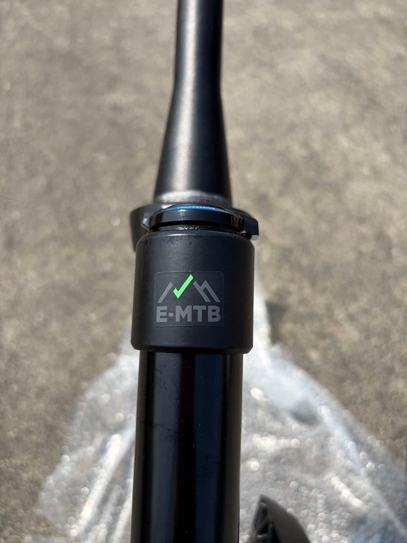 RockShox Domain Front Fork