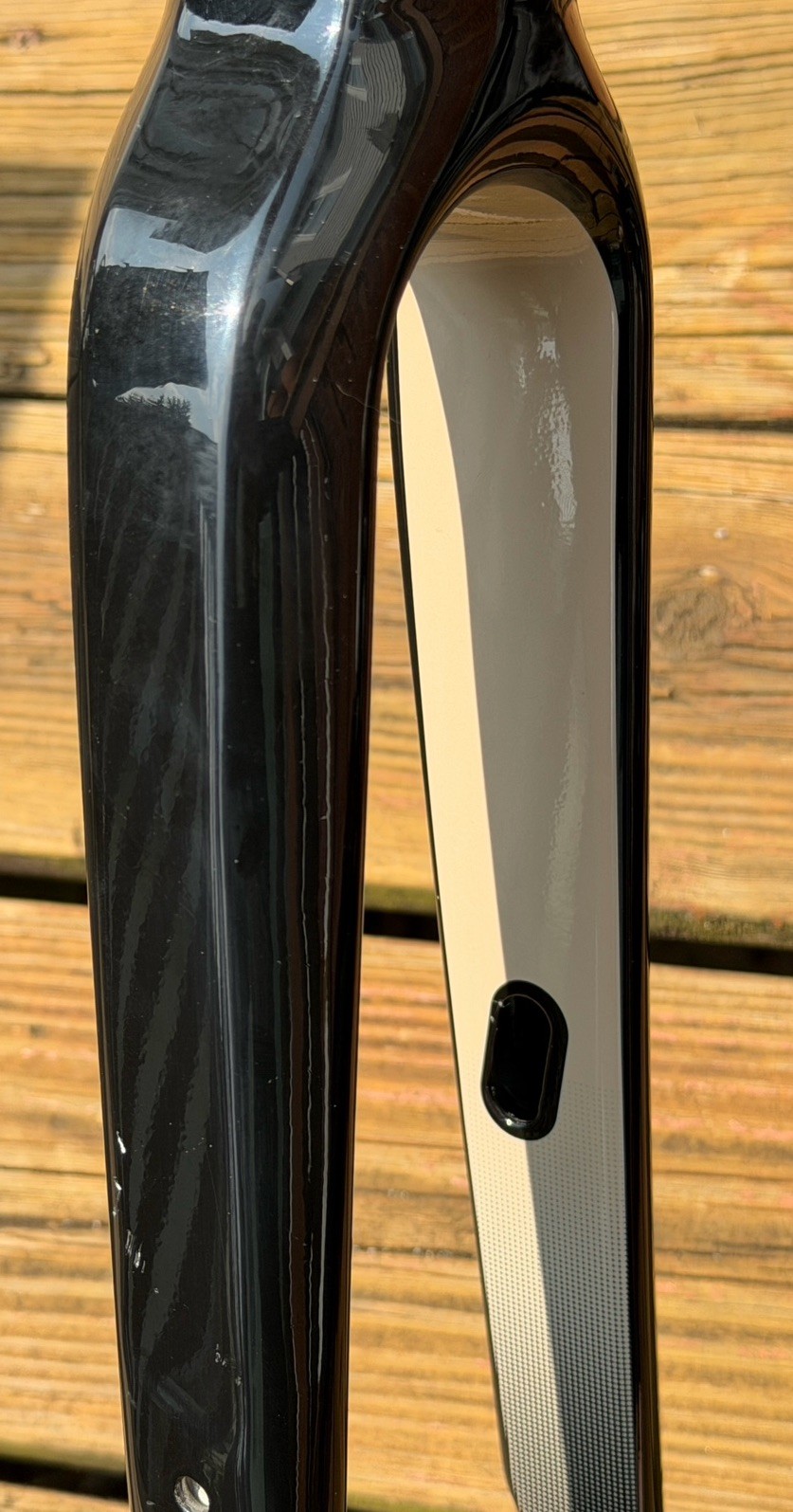 Giant Revolt Advanced Carbon Front Fork 255mm Steer Tube