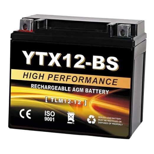 YTX12-BS 12V 10Ah AGM Sealed Motorcycle Battery, Maintenance-Free, YTX-12 Black