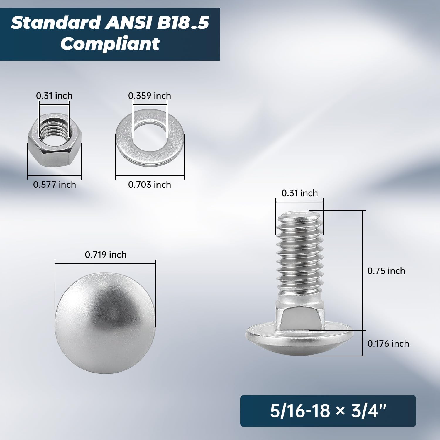 5/16-18 x 3/4 Inch Carriage Bolt Kit, 304 Stainless x 3/4″, Silver