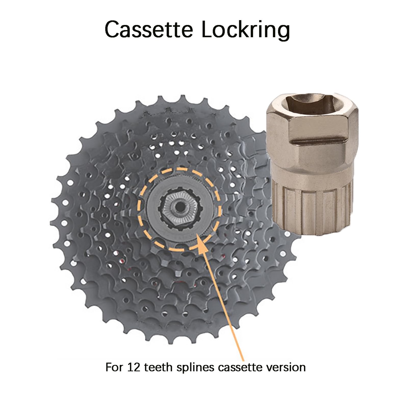COTOUXKER Bike Freewheel Removal Tool with Chain Whip and One Size, Silver