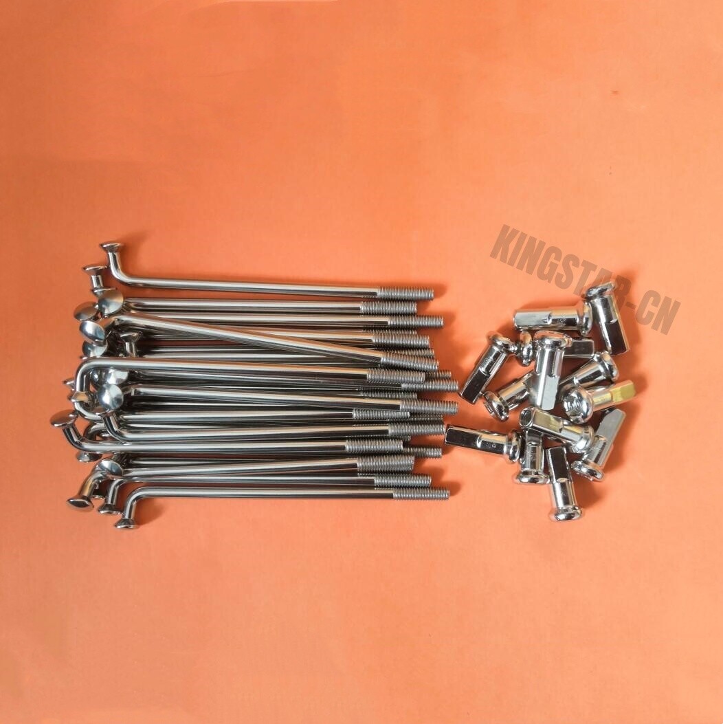 Customize Lenth 8G 9G 10G 11G 12G Electric Bicycle E-bike Spoke & nipple 304 SS