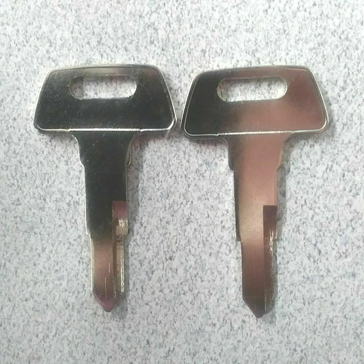 RAD POWER E-BIKE Universal Battery Key 2 Keys $12.95 | USPS Shipping