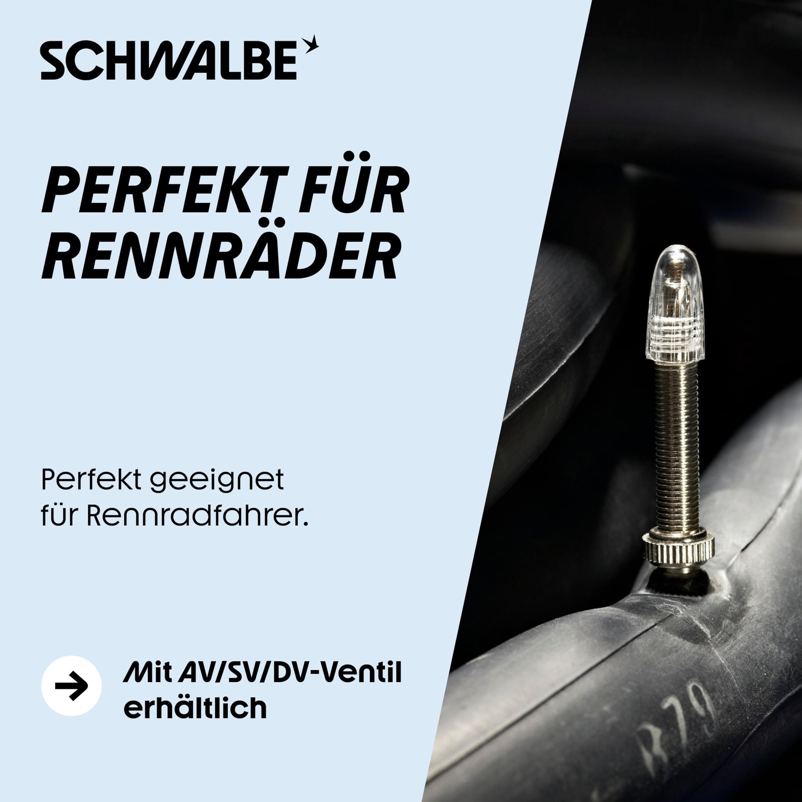 Schwalbe(シュワルベ) 【正規Ø