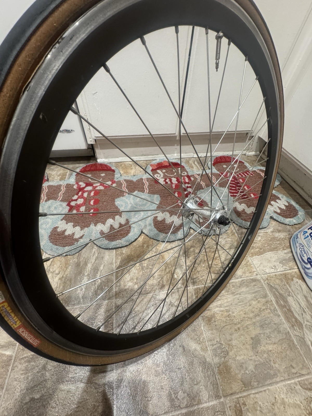 650c Velocity Deep V Rim – 32 Hole – Made in Australia -Campagnolo Hub