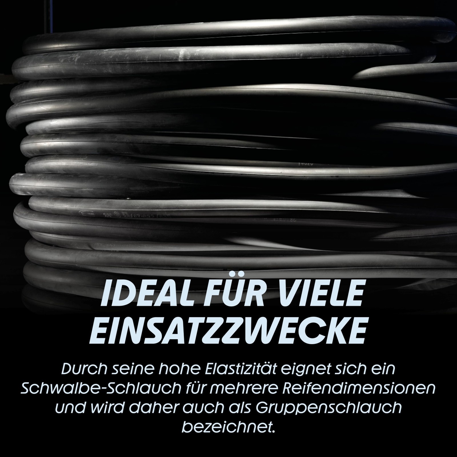 Schwalbe(シュワルベ) 【正規Ø
