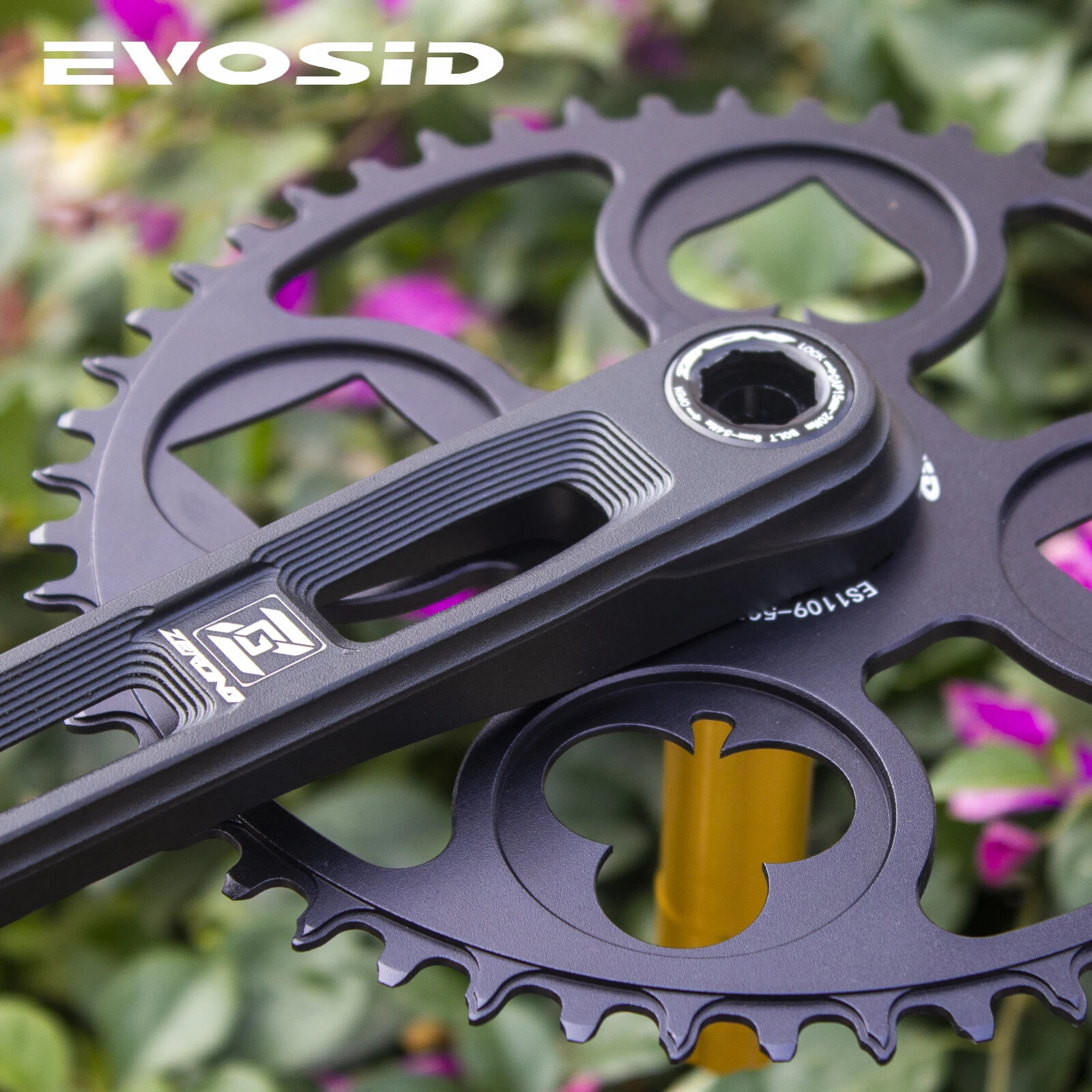 Road Bike Crankset 165mm 170mm Bicycle Crank Arm with 40 42 44 46 48T Chainring