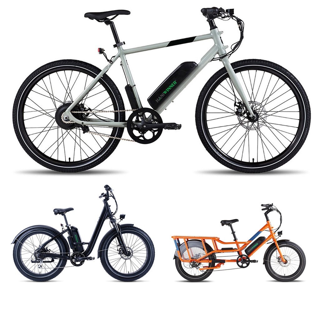 48V 13ah eBike Battery Downtube Electric Bike E Bike Hailong 850w 1000W motor