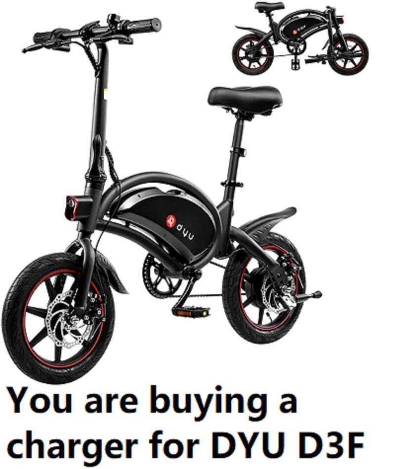 🔥Electric Bike Scooter battery Charger for DYU 3df ac adapter🔥