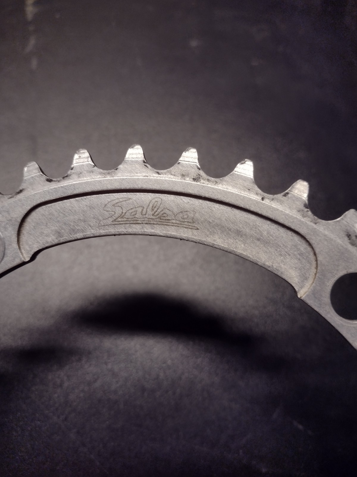 Salsa 144×42 Tooth Chainring Silver Single Speed