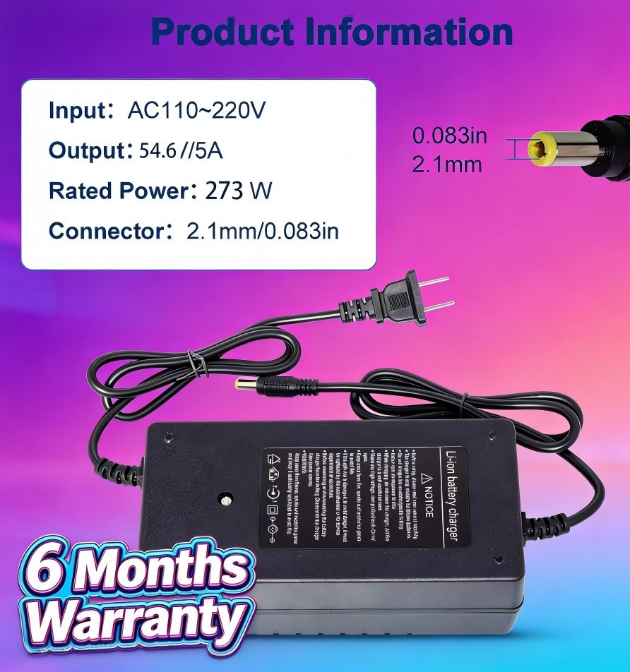 54V 5A Adapter Charger 48V Lithium Battery with 5.5mm*2.1mm DC Plug Port 270W 2