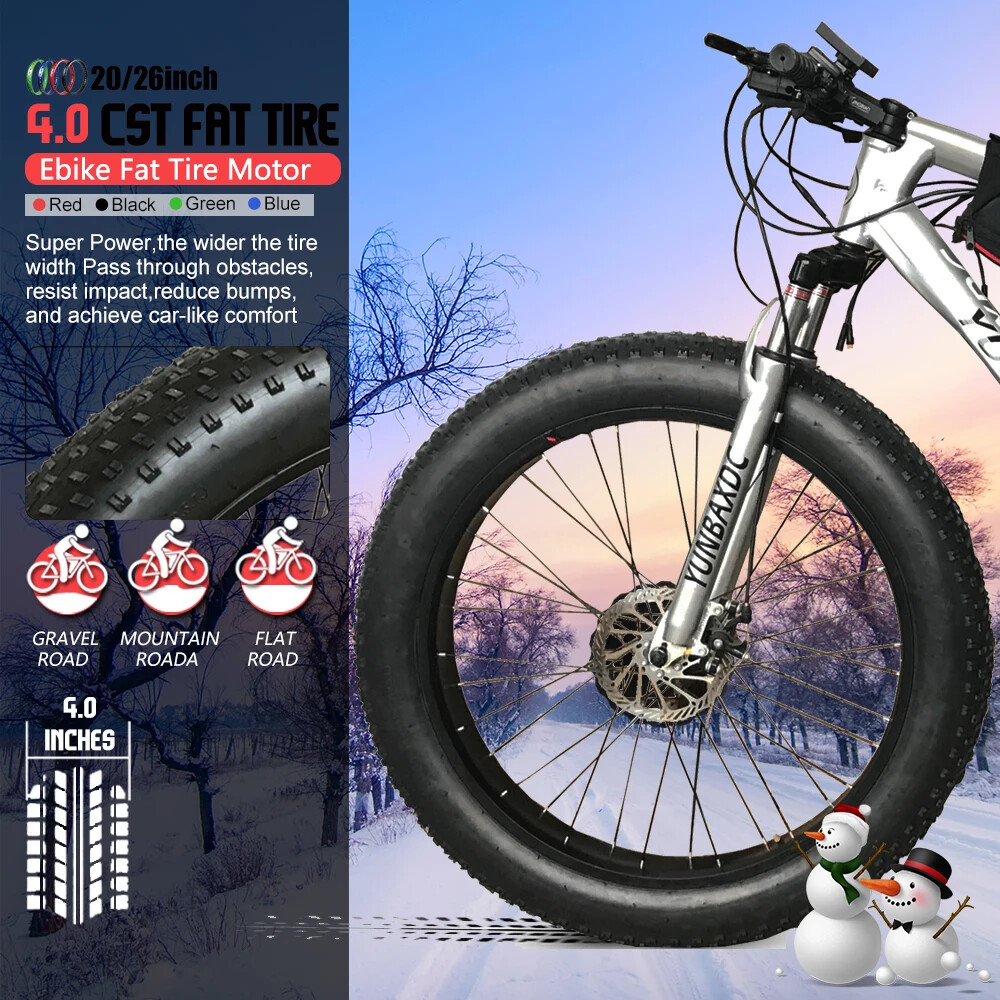 Snow E-bike Conversion Kit 20/26 in 36V 48V 500W Front Brushless Hub Motor Wheel