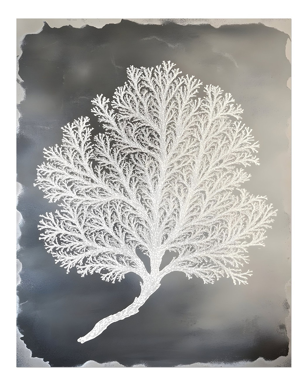 Elegant Coral Wall Art Poster for Modern Home Decor Premium Quality