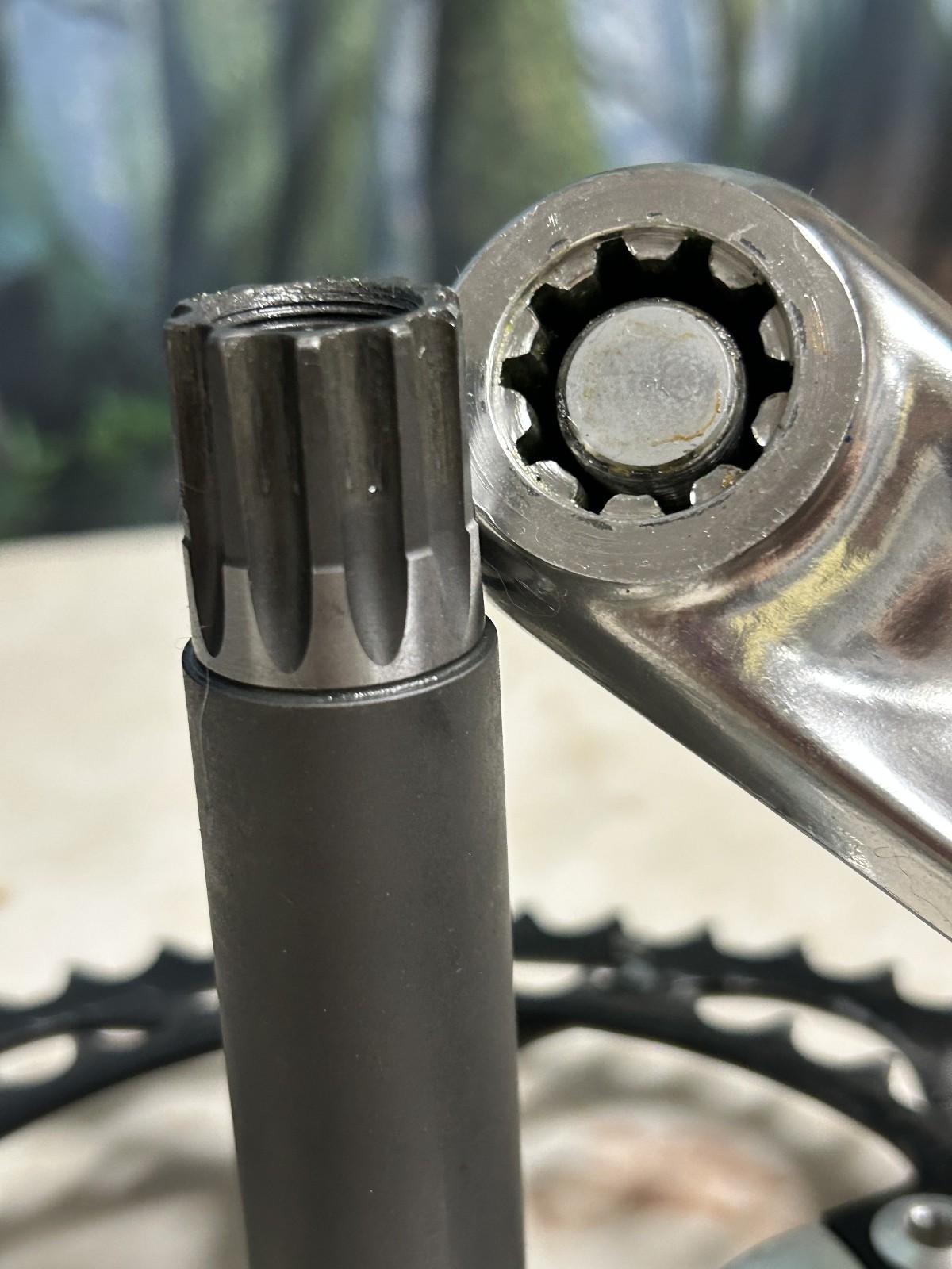 Bontrager Race Lite GXP 170 Road Double, 130BCD 50/36 10 Speed Rings