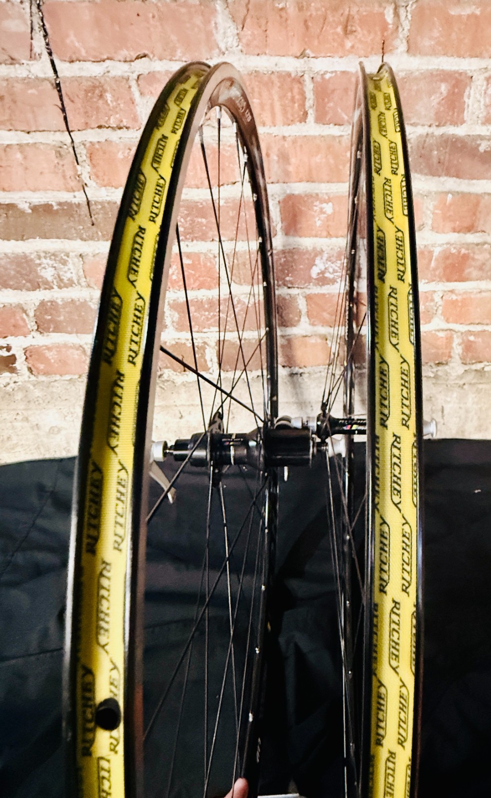Ritchey WCS Protocol LTD Rim Set