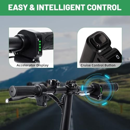 48V Throttle Display Accelerator Grip with Cruise Control Button Compatible