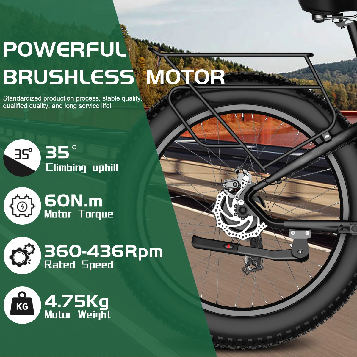 E-bike Fat Tire Motor 48V 1000W 4.0Tire Rear Hub Motor Dropout 170-175mm