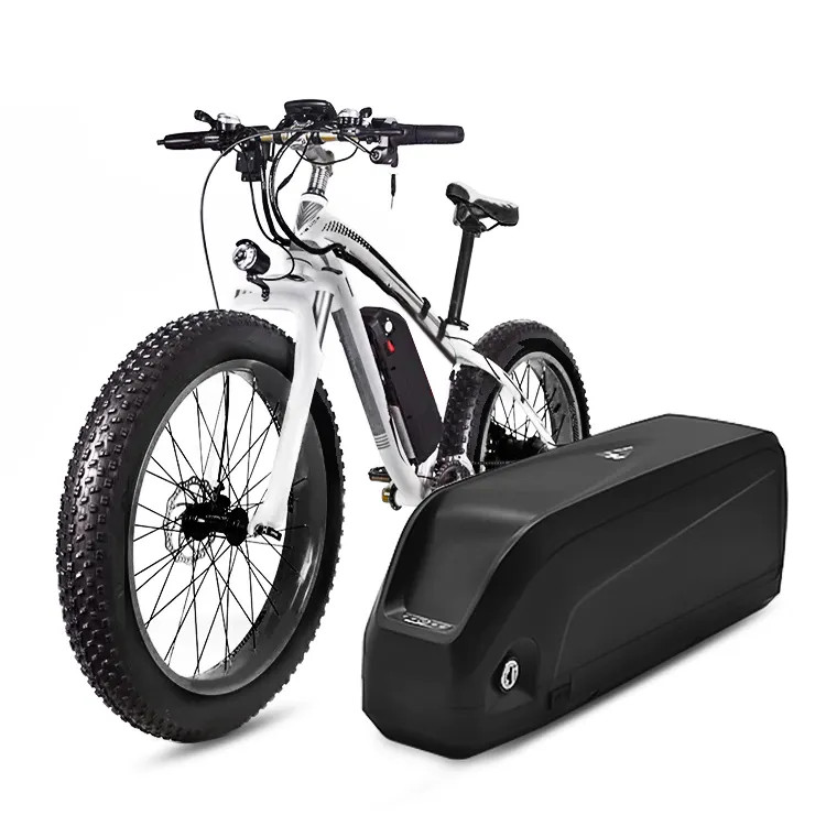 Ebike Battery Hailong 48V 20Ah Electric Bike Battery for 250W-1200W Samsung Cell