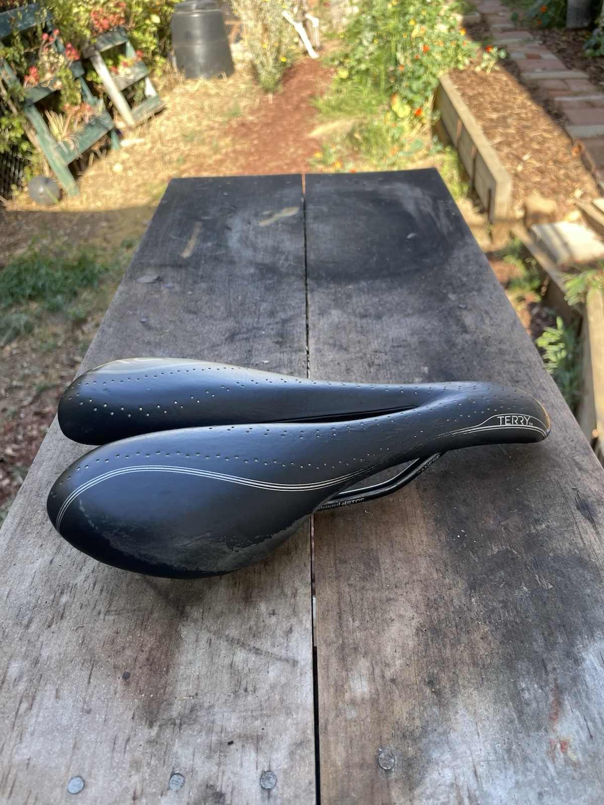 Terry Women’s FLX Gel Bike Saddle – Comfortable Flexible Center Cutaway Seat