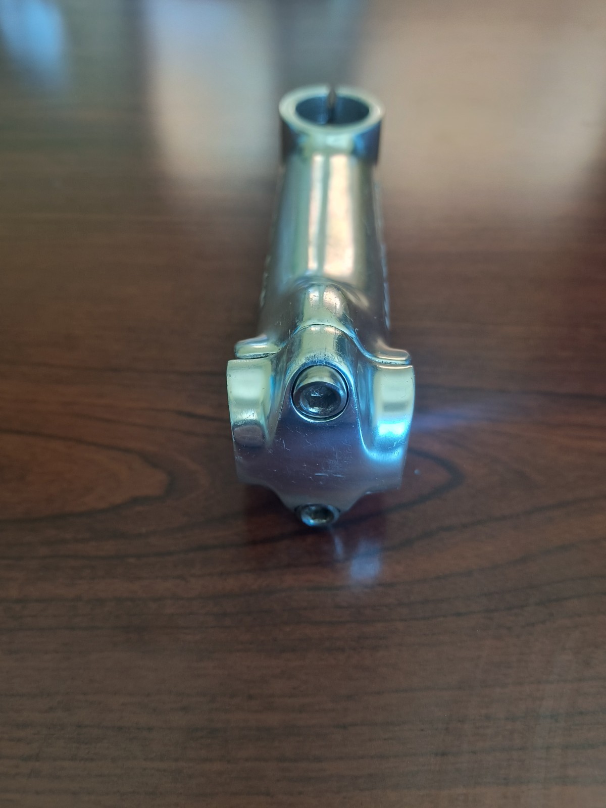 Moto Ace by Salsa Threadless Stem, 120mm, 25.4mm, 1″, Silver/Chrome