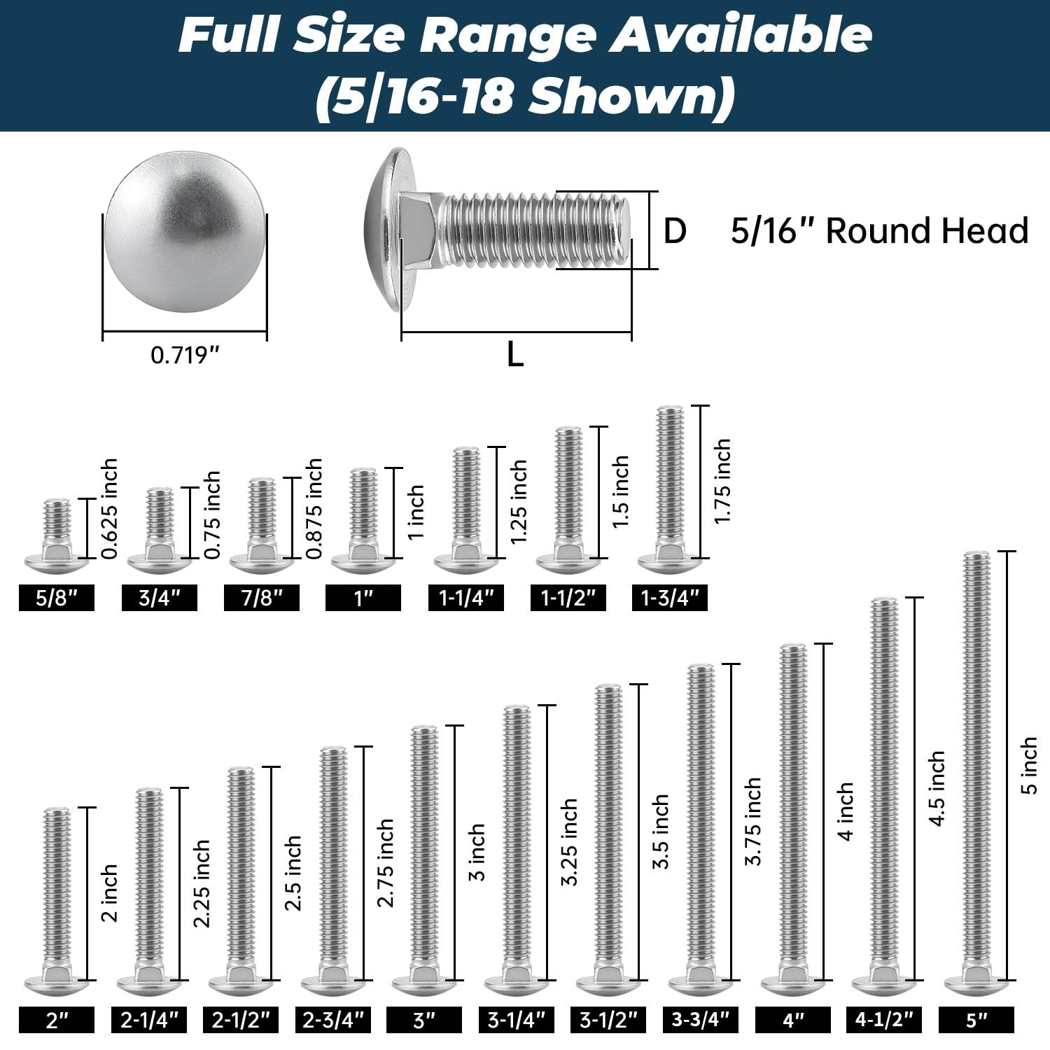 5/16-18 x 3/4 Inch Carriage Bolt Kit, 304 Stainless x 3/4″, Silver