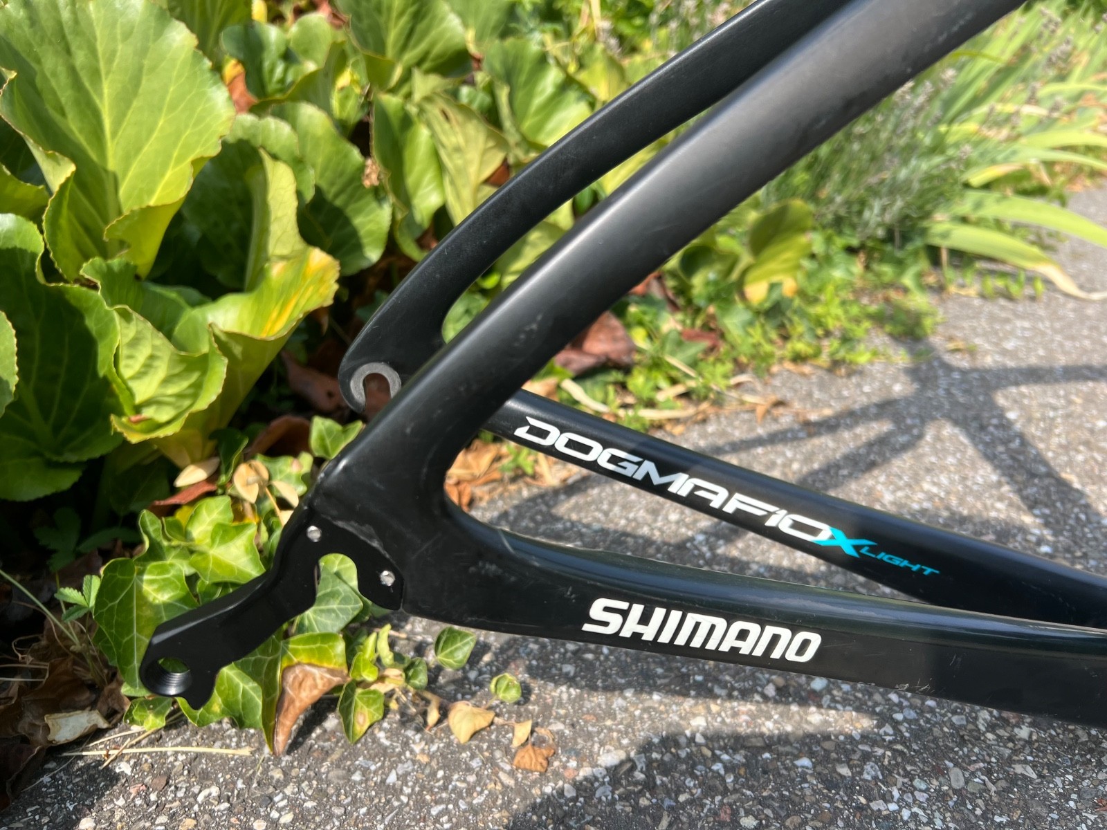 Pinarello Dogma F10 Xlight Team Sky Shimano Dave Brailsford