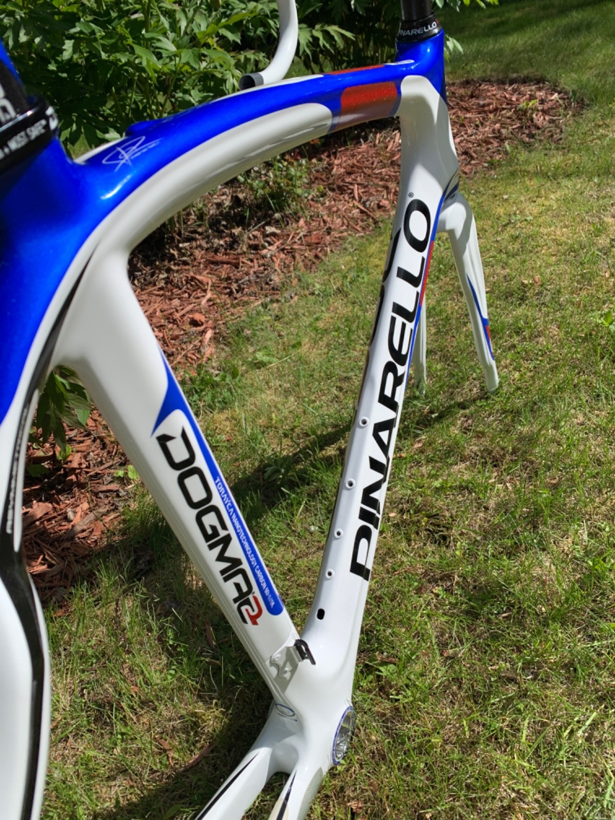 New! Pinarello Dogma 2 55cm frame + Selle Italia 3D + Most Talon 120 x 460