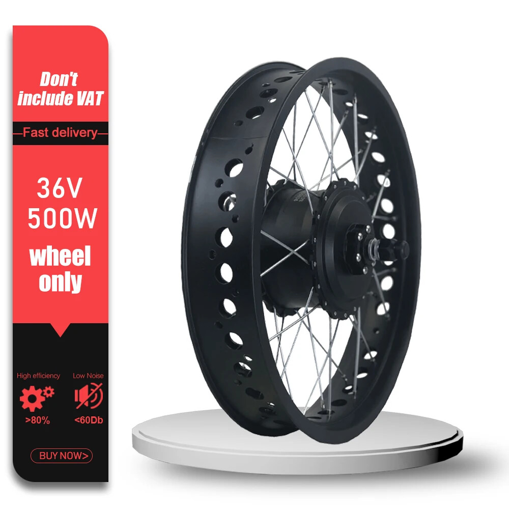 Snow E-bike Conversion Kit 20/26 in 36V 48V 500W Front Brushless Hub Motor Wheel