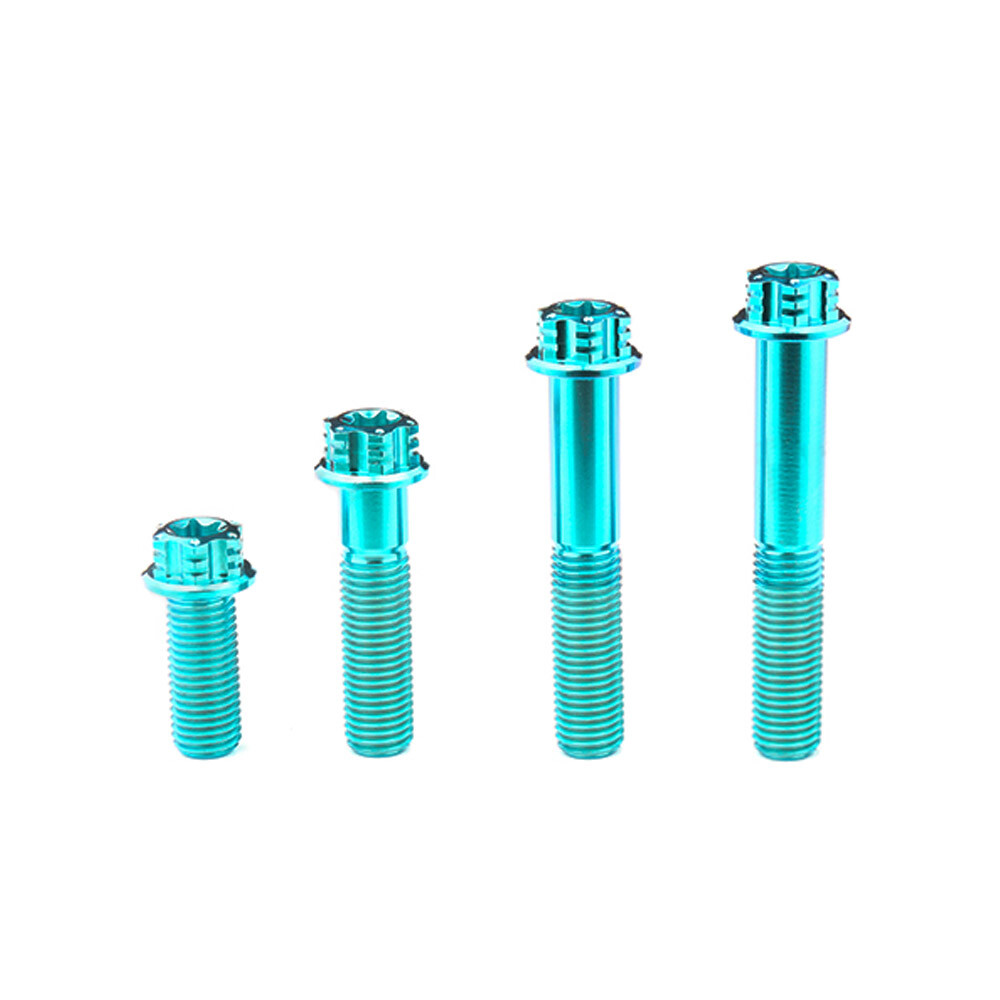 Titanium Alloy Screws M10x20/25/40/55/60mm Pitch 1.25mm Flange Scoket ti Bolts