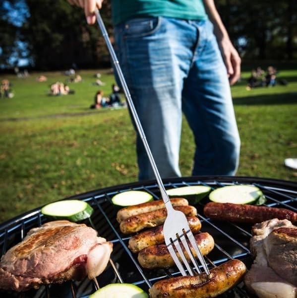 Extendable Fork – 8.7 to 25.4 Inch Long, Telescopic & Retractable for BBQ, Di…