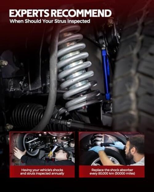 Rear Struts Shock Absorber Complete Assembly Automotive Replacement for Mini