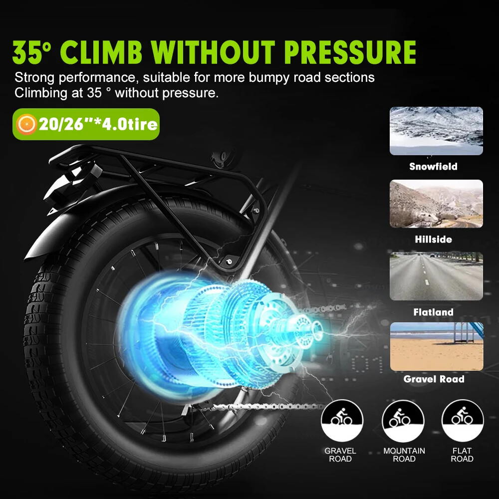 Snow E-bike 48V 750W 20 24 26inch Fat Tire Brushless Gear Rear Rotate Hub Motor