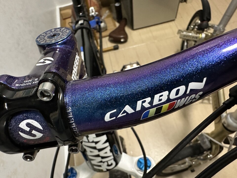 Blue Purple Carbon Handlebar Mountain Bicycle Flat Bar Rise Bar 31.8*600-760mm
