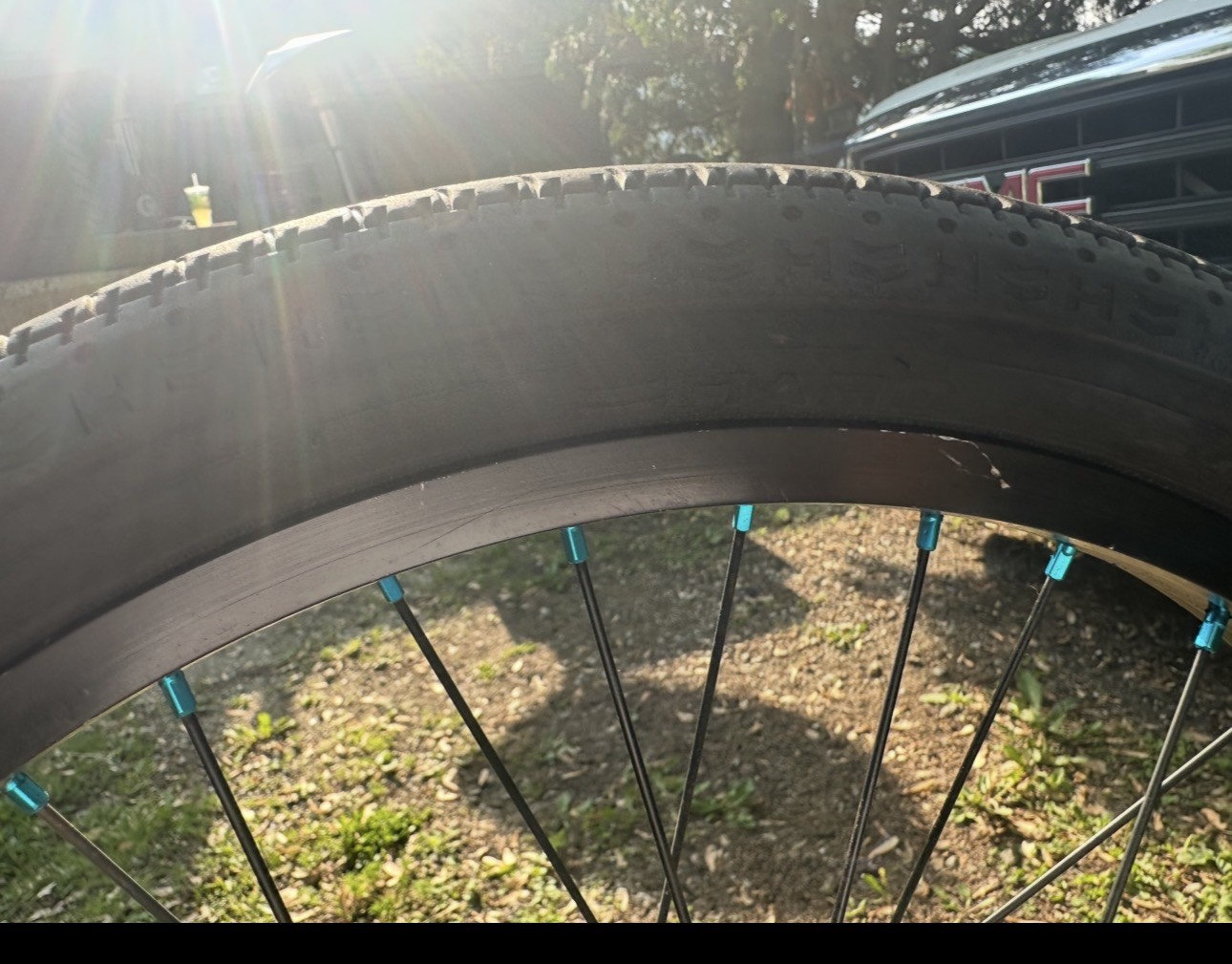 Alienation PBR Front &Back Rim