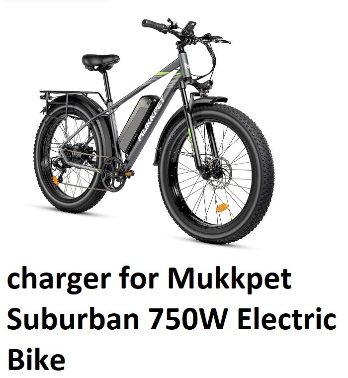 🔥Li-ion Lithium Battery Charger for Mukkpet Suburban 750W Electric Bike🔥
