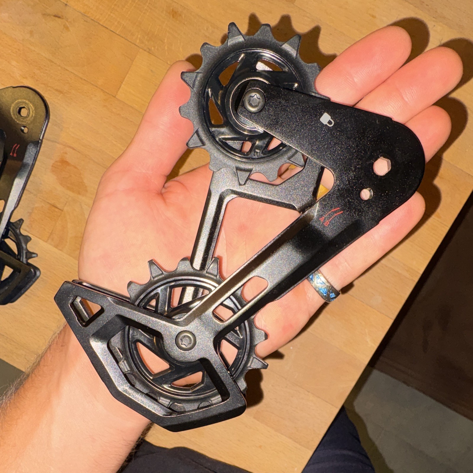 SRAM T-Type X0 Pulley Cage