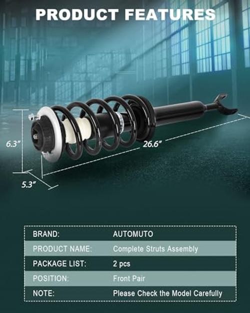 Front Pair Complete Struts Spring Assembly Shock Absorber Compatible with