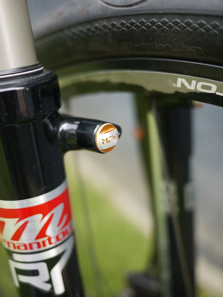 Mowa Road MTB eBike City Bike Pivot Bolts 2PCS M8 For Fork Use