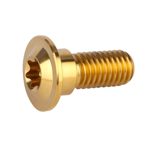 6Pcs Titanium Bolt M8 x 20mm 25mm Motorcycle Rear Brake Rotor M8x20mm Gold