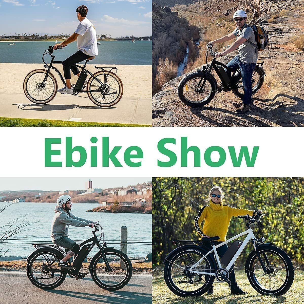 36V/48V/52V 500W 750W 1000W Li-Ion Ebike E-bike electric Bicycle bike Battery