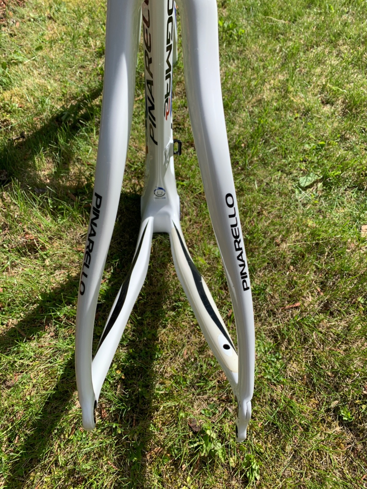 New! Pinarello Dogma 2 55cm frame + Selle Italia 3D + Most Talon 120 x 460