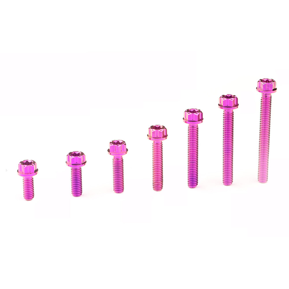 M4x10 12 15 20 25 30 35mm Titanium Bolts Flange torx screws Motorcycle Fastener
