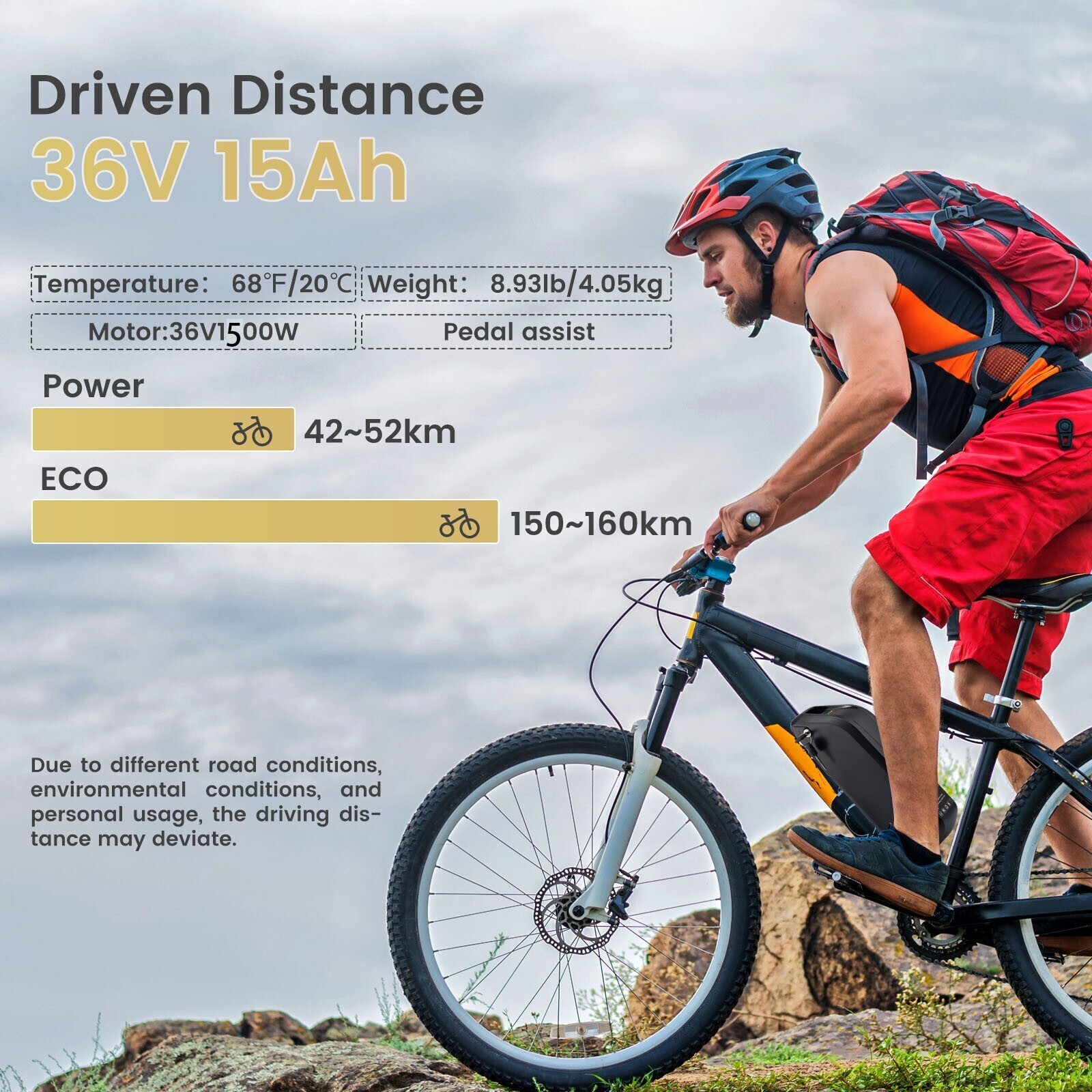36V 15Ah 200W-1500W Electric Bike Fat Tire Ebike E-Bicycle Electric Bike Bicycle