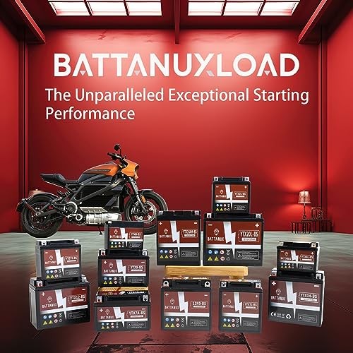 Battery & Motorcycle Battery, Sealed SLA/AGM 12V5Ah YTX5L-BS